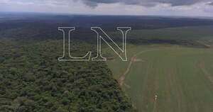 La Nación / Informe global sitúa a Paraguay como único en cumplir objetivos de defor1estación