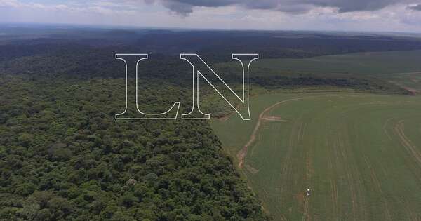 La Nación / Informe global sitúa a Paraguay como único en cumplir objetivos de defor1estación