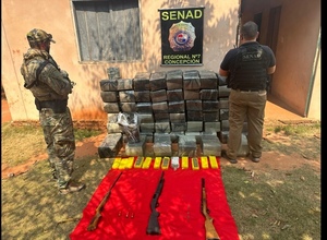 SENAD incautó casi 1 tonelada de marihuana en San José del Norte