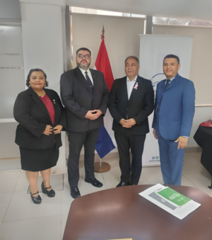 Abogados pasilleros solicitan al Defensor General acceder a banco de datos de la defensa pública - PDS RADIO Y TV