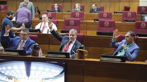 Dictamen a favor de ley anti-ONG: Está la versión "Frankenstein y la Drácula", afirma senadora