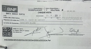 Latorre pide celeridad en investigación del caso “estafa y apropiación” que involucra a funcionaria