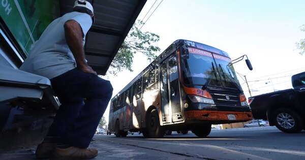 Diario HOY | Reforma del Transporte incluye renovar el 70 % de la flota, expondrán anteproyecto