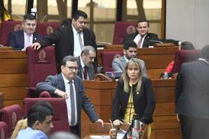 Gracias Santi por tus “boludeces”, dice diputada Vallejo - Política - ABC Color