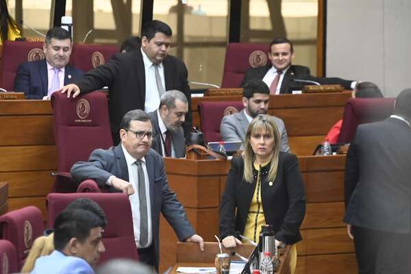 Gracias Santi por tus “boludeces”, dice diputada Vallejo - Política - ABC Color