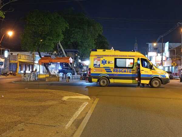 Ataque de abejas en la Avenida Pinedo genera alarma