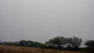 Falta de agua y humo de incendios forestales siguen agobiando a indígenas del Chaco