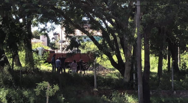 Proyecto de Ley que protege Bosque San Vicente en riesgo por falta de cuórum - Portal Digital Cáritas Universidad Católica