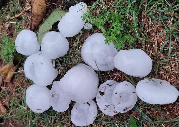 Video: Intensa granizada cayó esta tarde en Itapúa - Clima - ABC Color