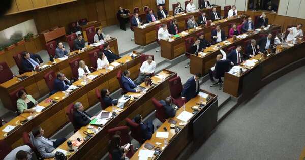 La Nación / Amplia mayoría para sancionar hoy ley de control a las oenegés