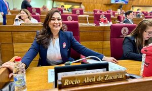 A iniciativa de Rocío Abed, diputados declaran de interés nacional el black friday de C. del Este – Diario TNPRESS