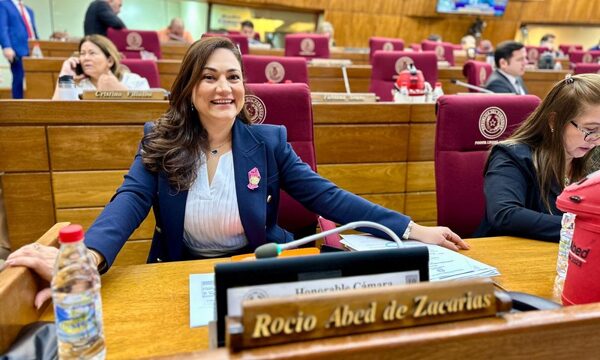 A iniciativa de Rocío Abed, diputados declaran de interés nacional el black friday de C. del Este – Diario TNPRESS
