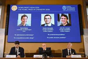 Nobel de Química para el diseño computacional de proteínas y predicción de su estructura - Ciencia - ABC Color
