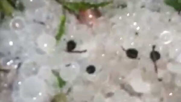 Granizada afecta varios distritos de Alto Paraná, pero sin reportes graves de daños