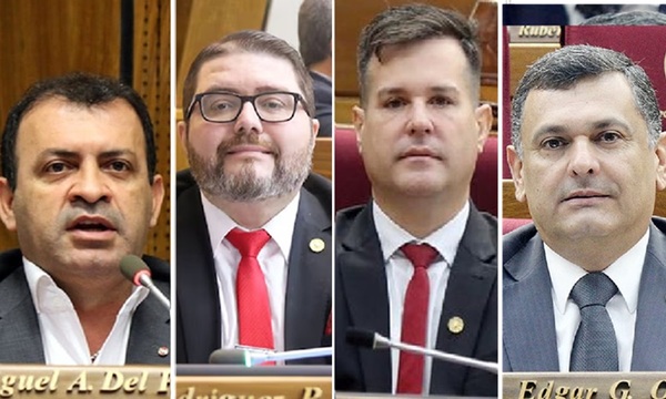Ley antionegés: Diputados caaguaceños apoyan la ley para perseguir críticos al cartismo - OviedoPress