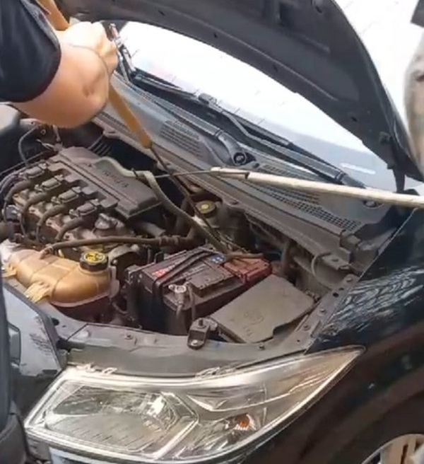 Quiso encender su vehículo y tenía una víbora en el motor
