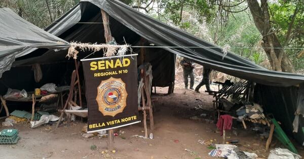 Diario HOY |  Senad elimina 27 toneladas de droga en Bella Vista Norte
