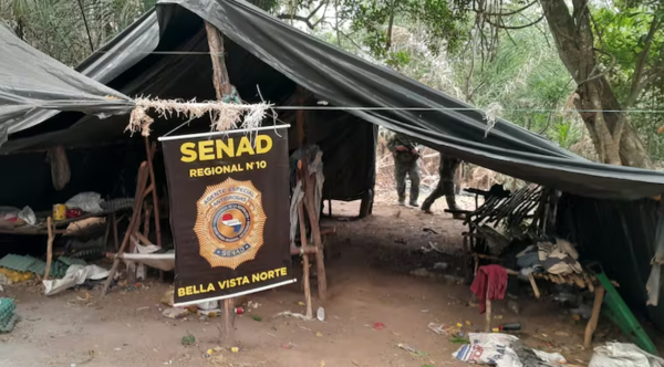 Senad elimina 27 toneladas de droga en Bella Vista Norte