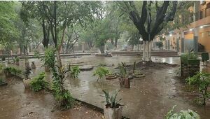 Buena lluvia riega el sediento suelo comcepcionero