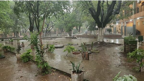 Buena lluvia riega el sediento suelo comcepcionero