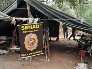 Destruyen 27 toneladas de marihuana en Bella Vista Norte