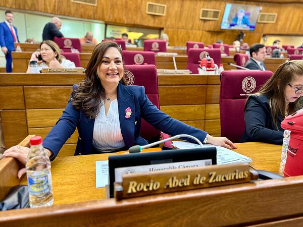 Declaran de interés nacional Black Friday de CDE a iniciativa de la diputada Abed - La Clave