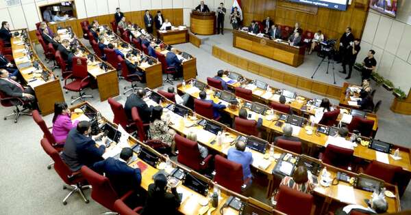 La Nación / Con 31 votos, Senado sanciona control a las oenegés, versión Diputados