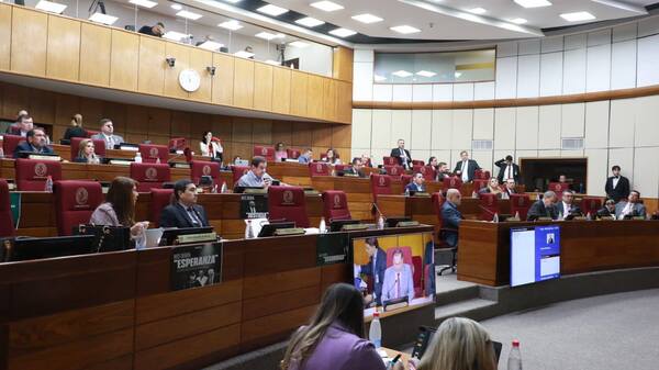 Senado Sanciona Ley de Control y Transparencia para Organizaciones Sin Fines de Lucro