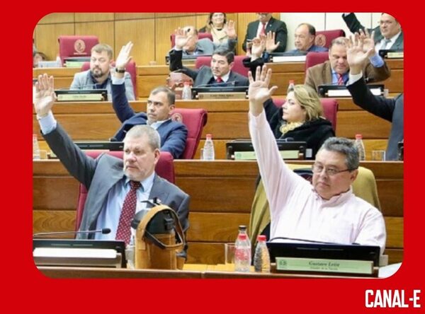 CON 31 VOTOS SENADO APRUEBA LEY PARA CONTROLAR ONG