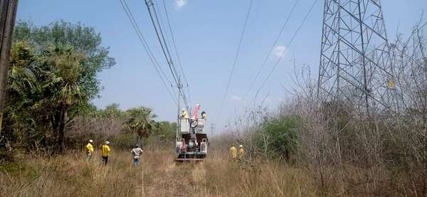 Falta de rubros para mantenimiento de línea de ANDE genera pésimo servicio a usuarios en Alto Paraguay - Noticias del Chaco - ABC Color