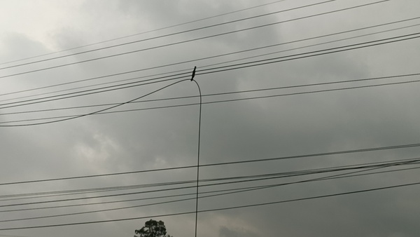 Corte de energía en Concepción tras descarga de rayo