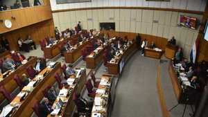 Así votó el Senado para sancionar "ley garrote" a las oenegés