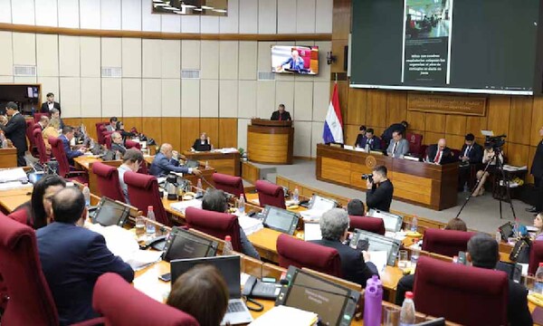 Senado sanciona ley que controla a las ONG – Prensa 5