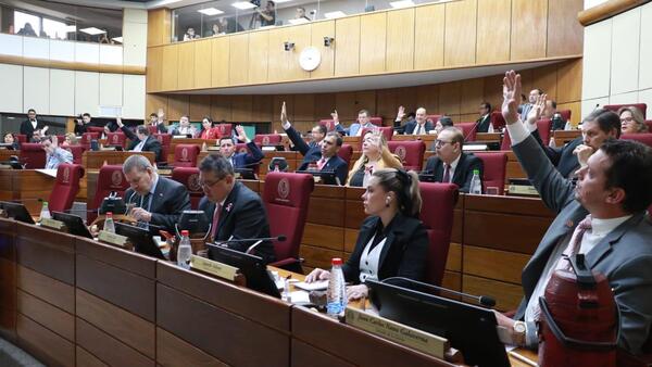 Senadores aprueban proyecto de Ley para regular oenegés