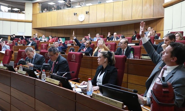 Senado sanciona proyecto de ley anti ONGs - OviedoPress