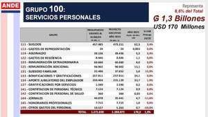 PGN 2025: ANDE destinará US$ 170 millones a gastos salariales  - Economía - ABC Color