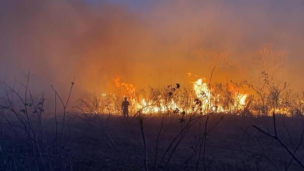 Incendio Forestal en Chovoreca se reactiva y avanza con rapidez