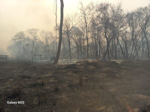 Incendios en Chovoreca – Fiscalía no avanza por falta de informes del MADES