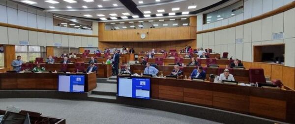 Senado sanciona la ley de control de ONGs. Ahora el Poder Ejecutivo debe promulgar o vetar