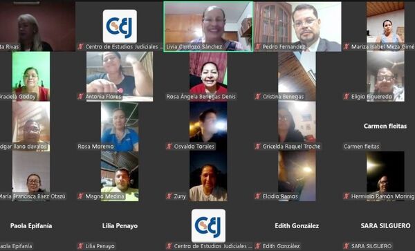 Facilitadores participaron de taller sobre Conflictos Penales y Acceso a la Justicia