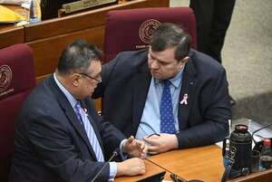 Red para la Democracia advierte a Peña sobre efectos devastadores de la ley anti-ONG  - Política - ABC Color