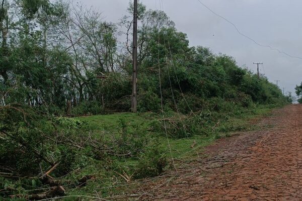 Temporal causa daños en Colonia Tavapy II
