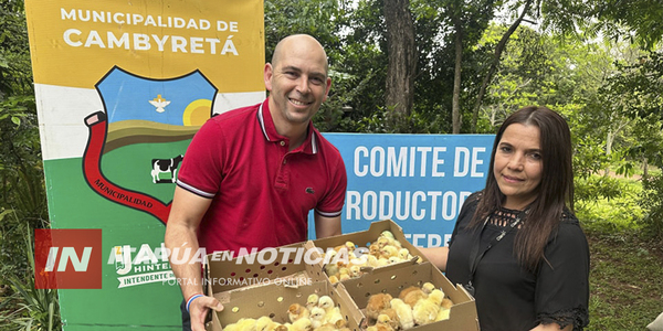 MUNICIPALIDAD DE CAMBYRETÁ ENTREGÓ INSUMOS A 22 FAMILIAS EN SAN BLAS INDEPENDENCIA - Itapúa Noticias