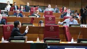 Las ONG piden de forma inmediata veto a sancionada ley “garrote” - Política - ABC Color