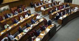 La Nación / Senado sanciona control a las oenegés, versión de Diputados