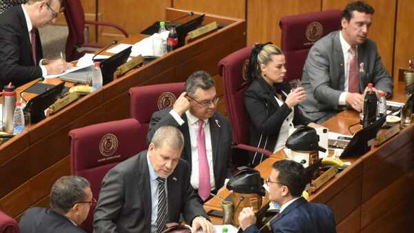Lo que tenés que saber: El Congreso sancionó finalmente la ley garrote contra las oenegés