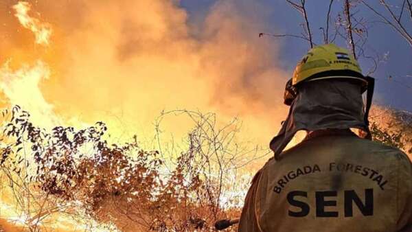 Incendio en Chovoreca: Lluvia caída no es suficiente para aplacar las llamas, afirma la SEN