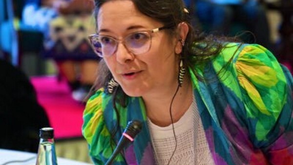 Relatora de la ONU enviará nota a Peña para “detener” ley anti-ONG