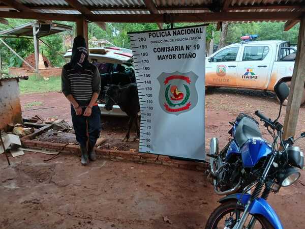 Recuperan ganado vacuno denunciado como hurtado y aprehenden al supuesto autor