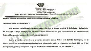 Presunto líder narco es acusado por incumplir prestación alimentaria 89 meses